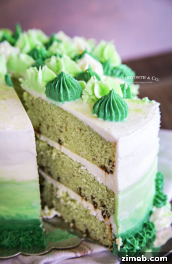 Mint Chocolate Chip Cake 10 St. Patrick's Day cake with mint chocolate flavor and festive design