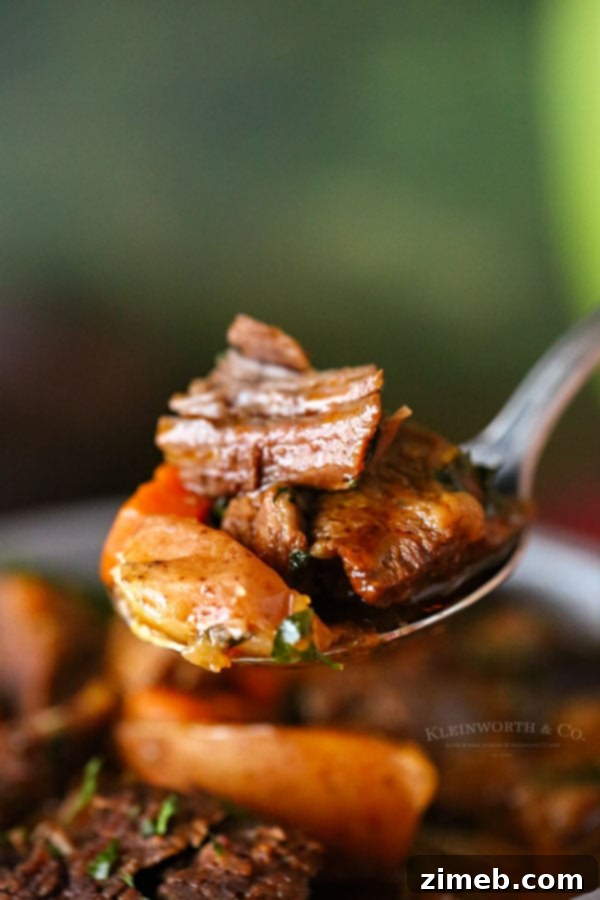 Pressure cooker beef stew, a modern twist on a classic, offering tender meat and vegetables in a rich broth with minimal effort.