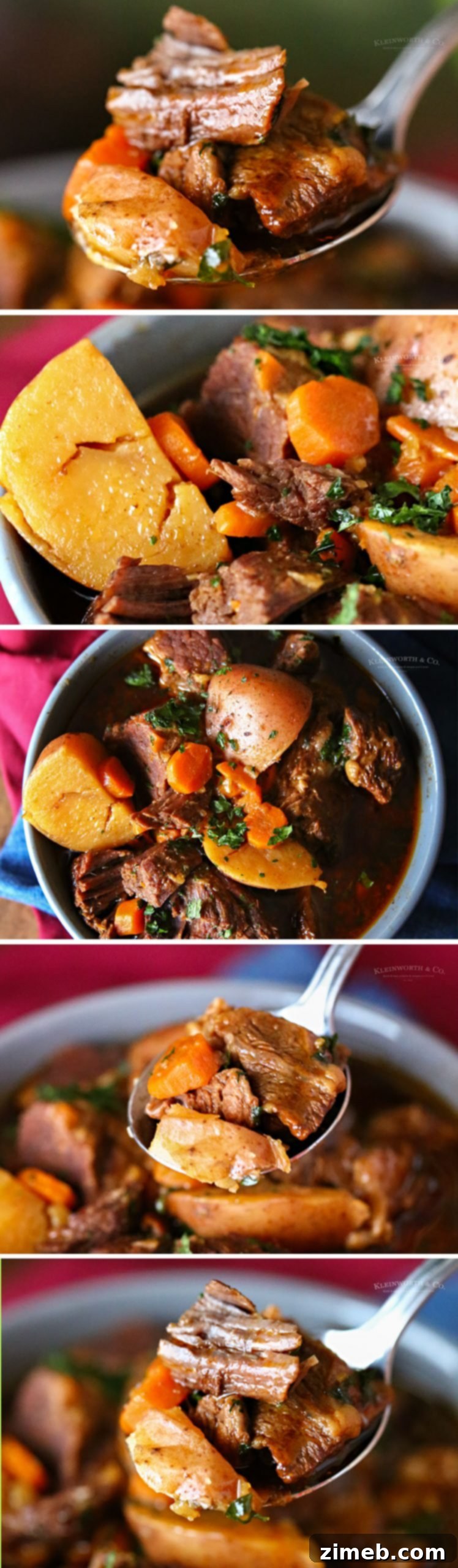 How to make Instant Pot Beef Stew: A visual guide to crafting a comforting and easy beef stew, perfect for pressure cooking novices and experts alike.