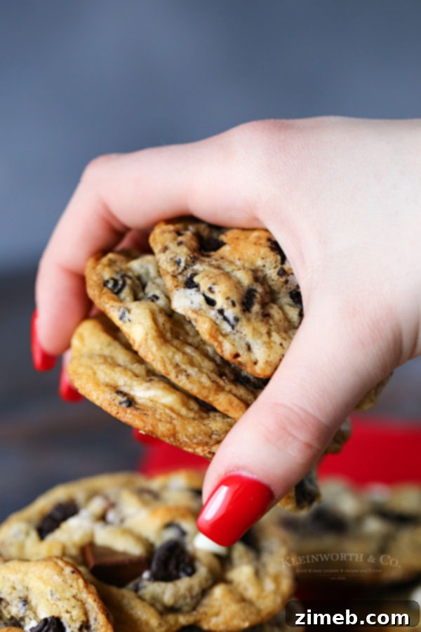 Oreo Cookie Bliss 7 Cookies with Oreos and chocolate chips