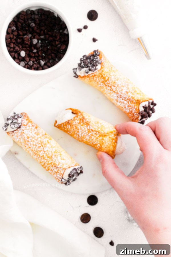 Crispy Air-Fried Cannoli 11 Italian Cannoli - Deliciously filled and ready to serve