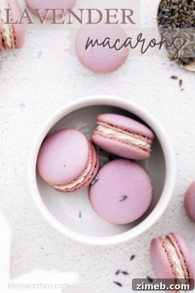 Delicate purple Lavender Macarons Recipe with dried lavender