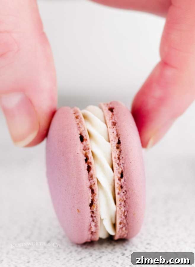 Beautiful lavender flavored cookies on a cooling rack