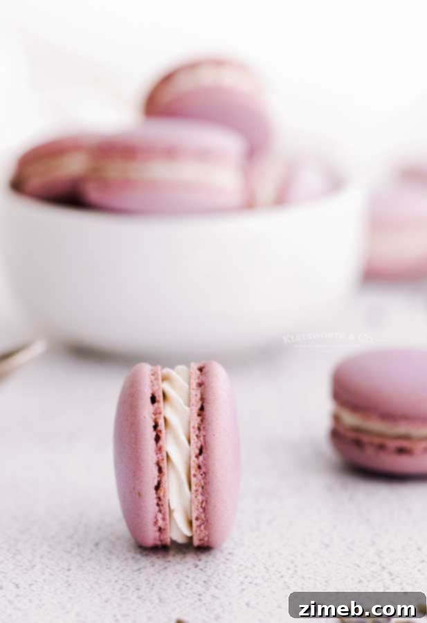 Lavender Macarons with dried lavender sprigs for garnish