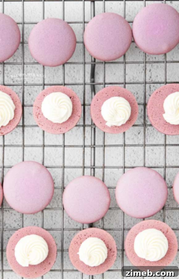 Close-up of filling purple macarons with lavender cream