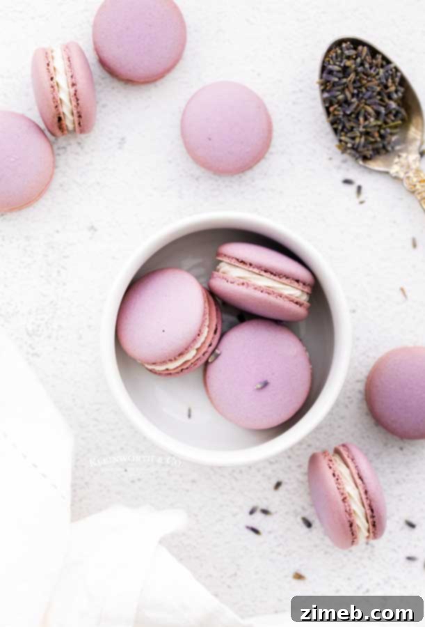 A tray of freshly baked macaron cookies, lavender flavored