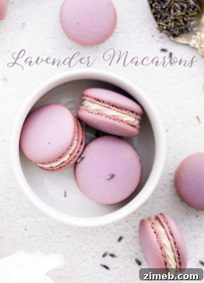 Finished Lavender Macarons Recipe plated beautifully