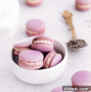 homemade Lavender Macarons