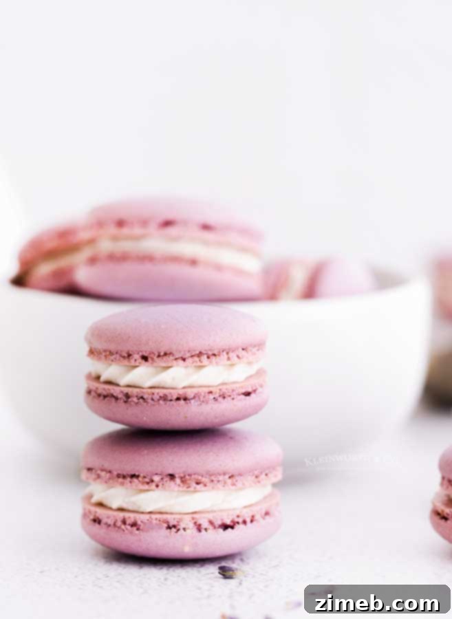 Stacked purple macarons with creamy lavender filling