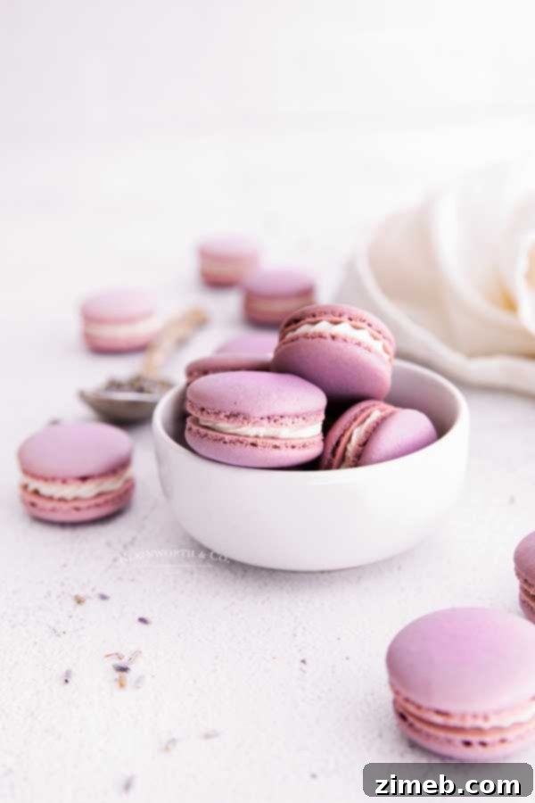 Close-up of perfectly piped purple macarons