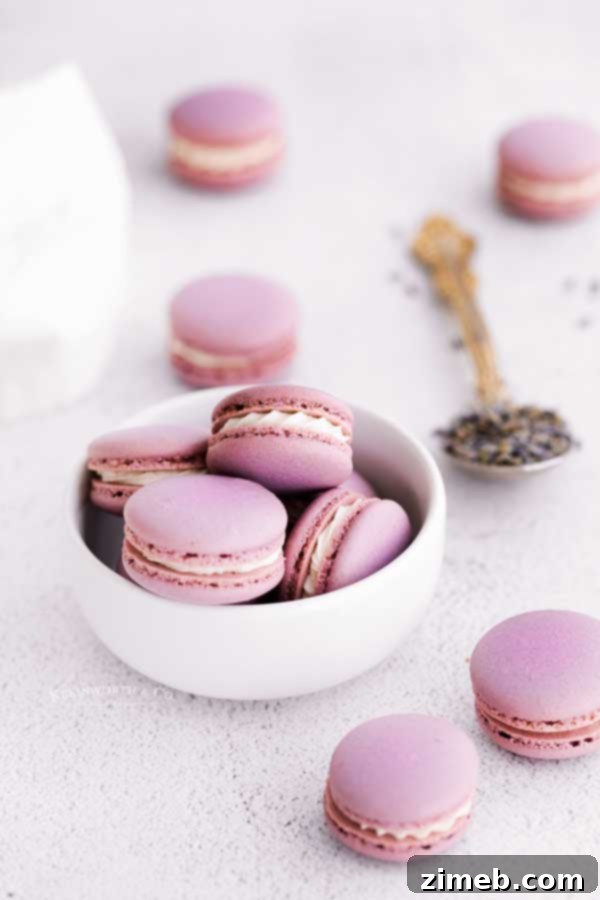 A batch of homemade Lavender Macarons, ready to be enjoyed