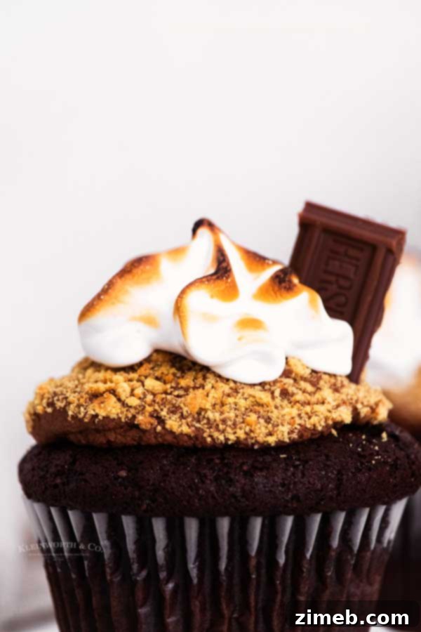 Group of S'mores Cupcakes with graham cracker crumbs and toasted marshmallow