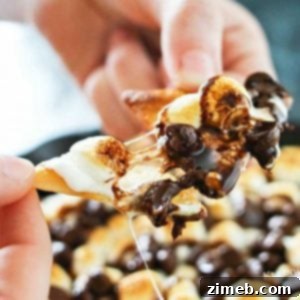 Delicious S'mores Nachos dessert