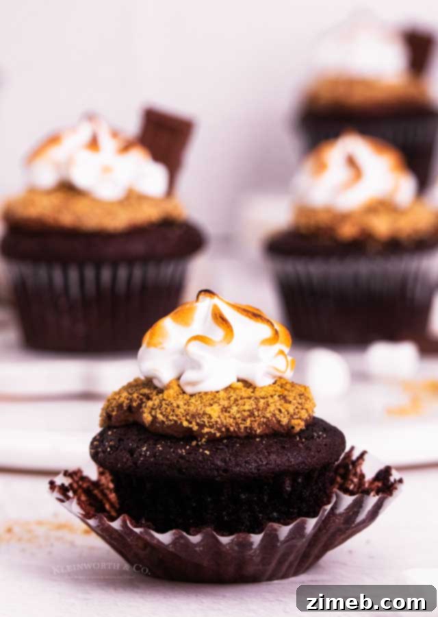 Close-up of the best S'mores Cupcakes with torched marshmallow