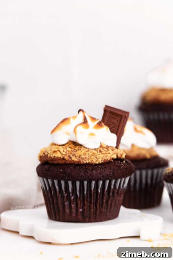Homemade S'mores Cupcakes with graham cracker crust and toasted meringue