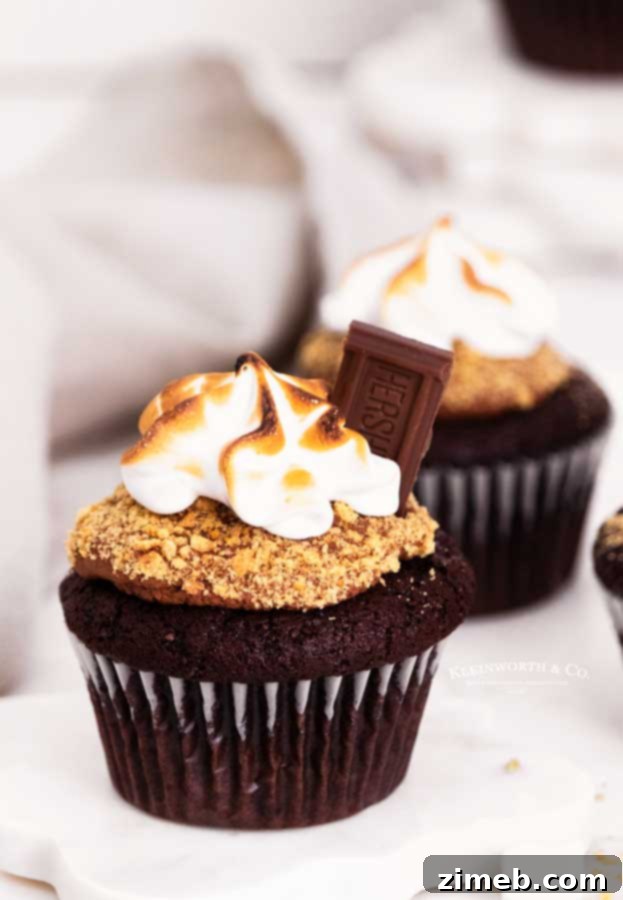 Toasted marshmallow S'mores Cupcakes ready to be served