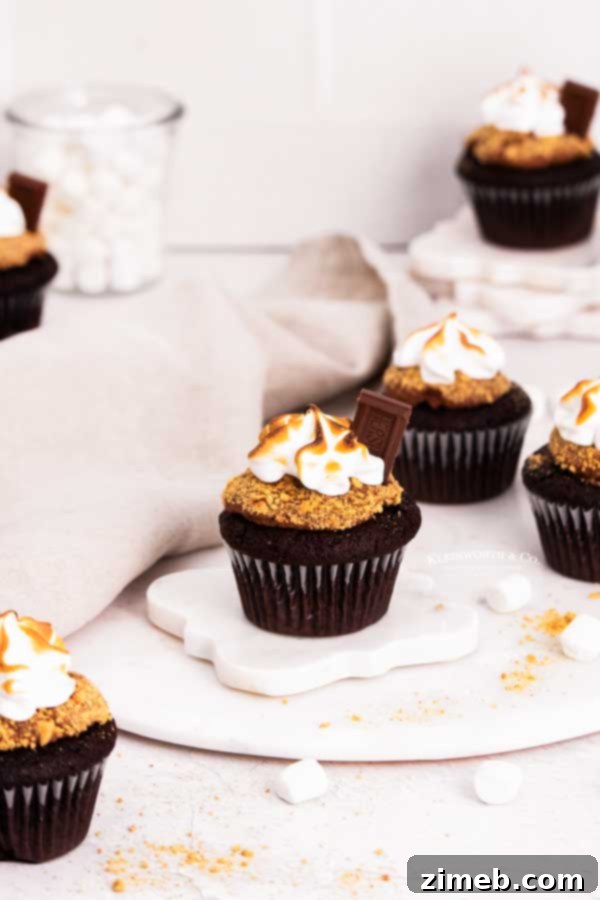 Collection of S'mores Cupcakes with toasted meringue and chocolate garnish