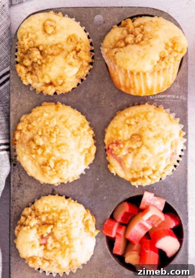 Sweet and Tart Rhubarb Muffins 16 spring rhubarb recipe