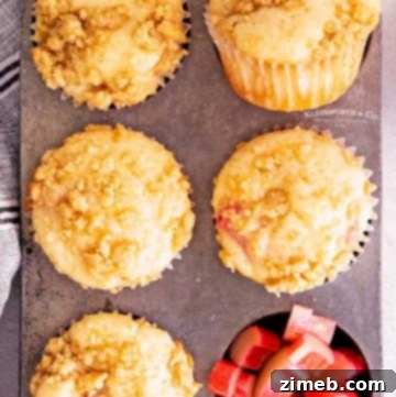 Sweet and Tart Rhubarb Muffins 18 spring rhubarb recipe