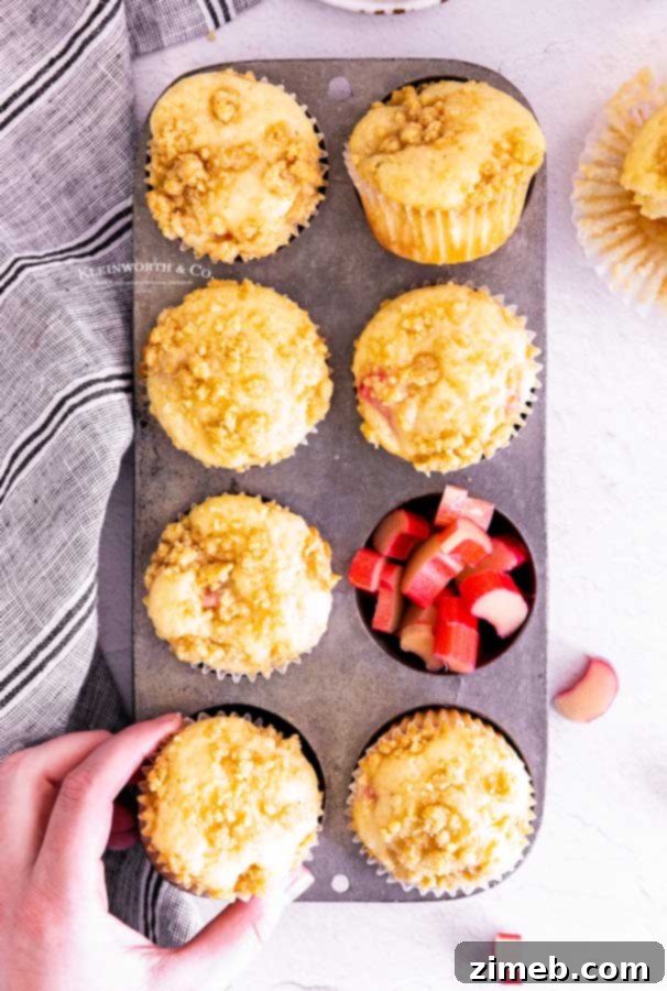 Sweet and Tart Rhubarb Muffins 3 breakfast rhubarb