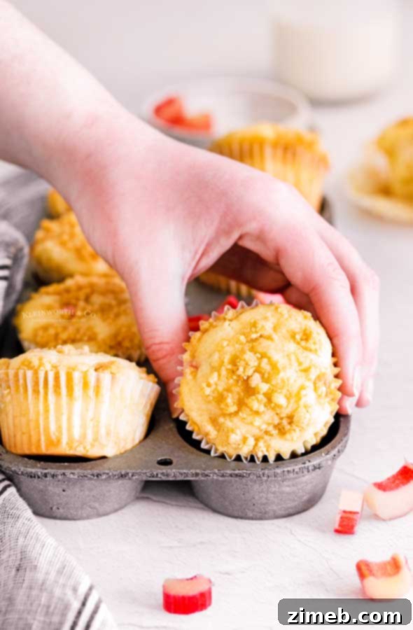 Sweet and Tart Rhubarb Muffins 4 rhubarb muffin in hand