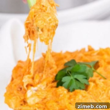 easy appetizer chicken dip made in Instant Pot