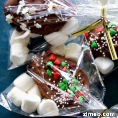 Craft Your Own Tea Bombs 15 Holiday treats, Easy Hot Chocolate Spoons
