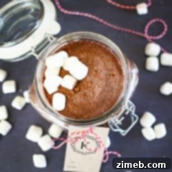 Craft Your Own Tea Bombs 18 Homemade Hot Chocolate Mix, ideal for winter gifts
