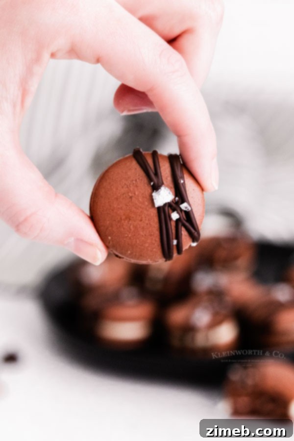Decadent Chocolate Macarons 11 decorated chocolate cookies