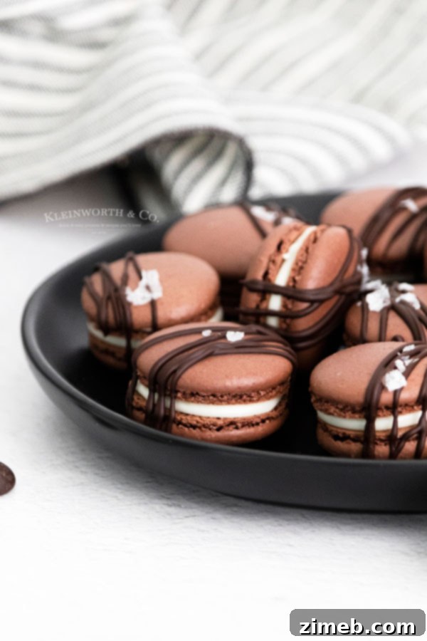 Decadent Chocolate Macarons 20 cocoa macarons