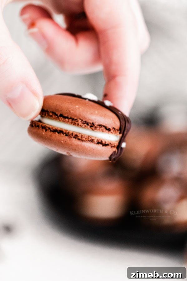 Decadent Chocolate Macarons 5 mother's day cookies
