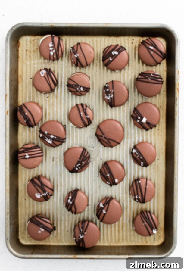 Decadent Chocolate Macarons 10 decorated chocolate macarons