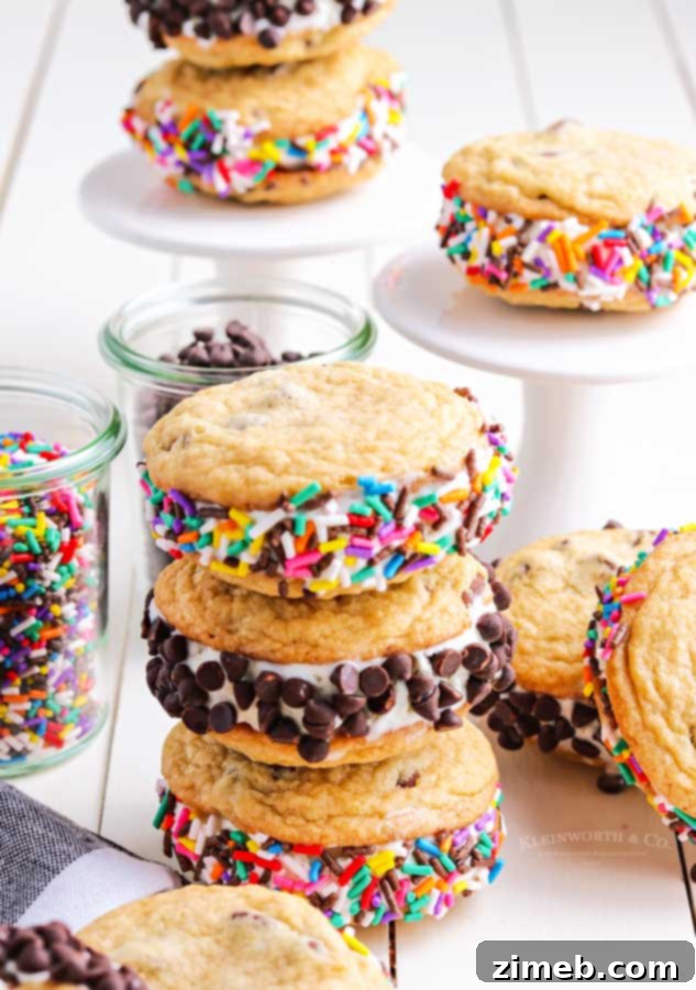 Frozen Cookie Bliss 23 Homemade chocolate chip cookie sandwiches ready to eat.