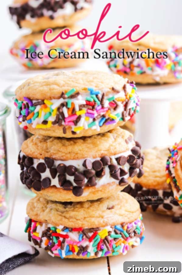Frozen Cookie Bliss 24 Homemade Cookie Ice Cream Sandwiches arranged on a plate.