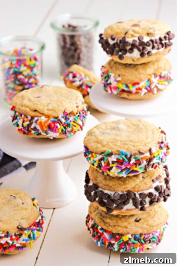 Frozen Cookie Bliss 4 Chocolate chip ice cream sandwiches with colorful sprinkles.