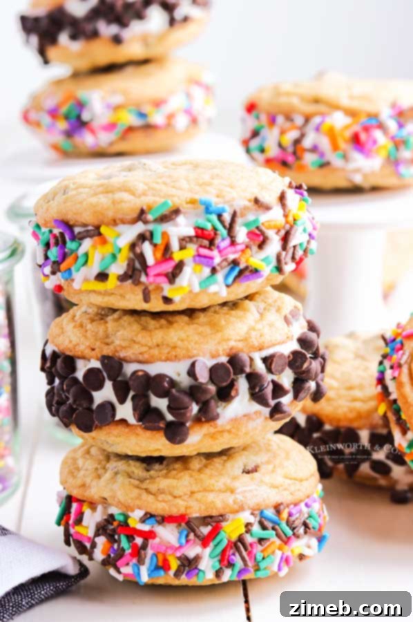 Frozen Cookie Bliss 5 Recipe for homemade Cookie Ice Cream Sandwiches with chocolate chips and vanilla ice cream.