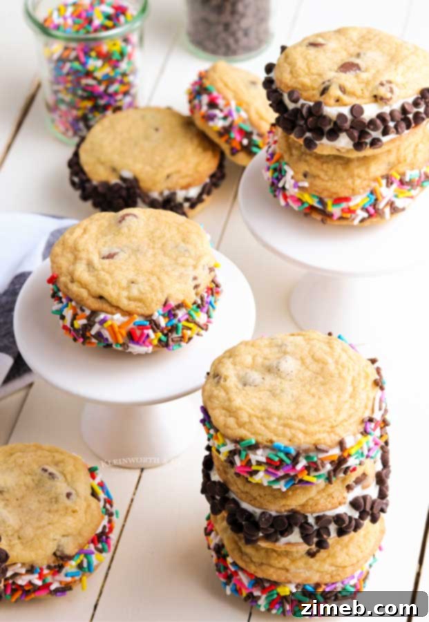 Frozen Cookie Bliss 7 Party treats: homemade Cookie Ice Cream Sandwiches ready to serve.