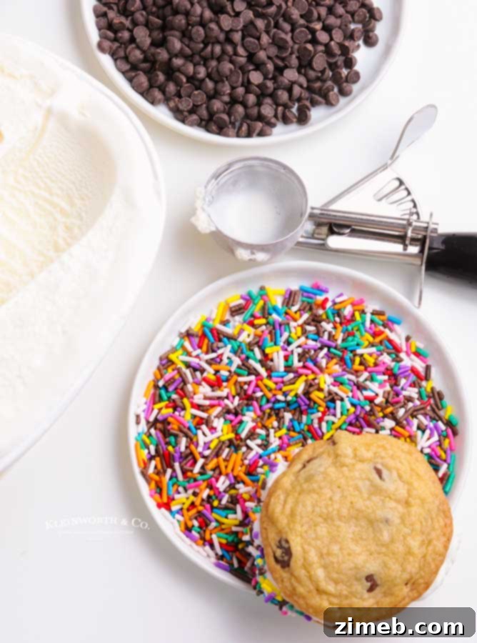 Frozen Cookie Bliss 8 Close-up of colorful sprinkles ready for coating ice cream sandwiches.