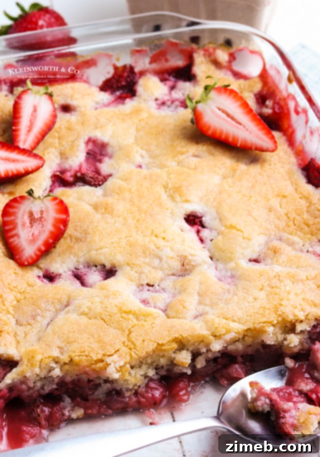 Baked strawberry cobbler, golden brown and bubbly from the oven.