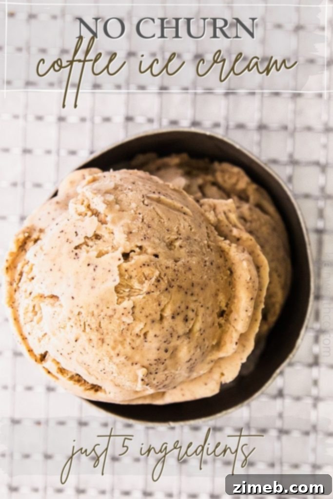 Effortless Coffee Ice Cream Bliss 2 No-Churn Coffee Ice Cream Recipe