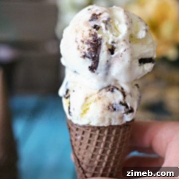 Effortless Coffee Ice Cream Bliss 17 Cookies & Cream Ice Cream