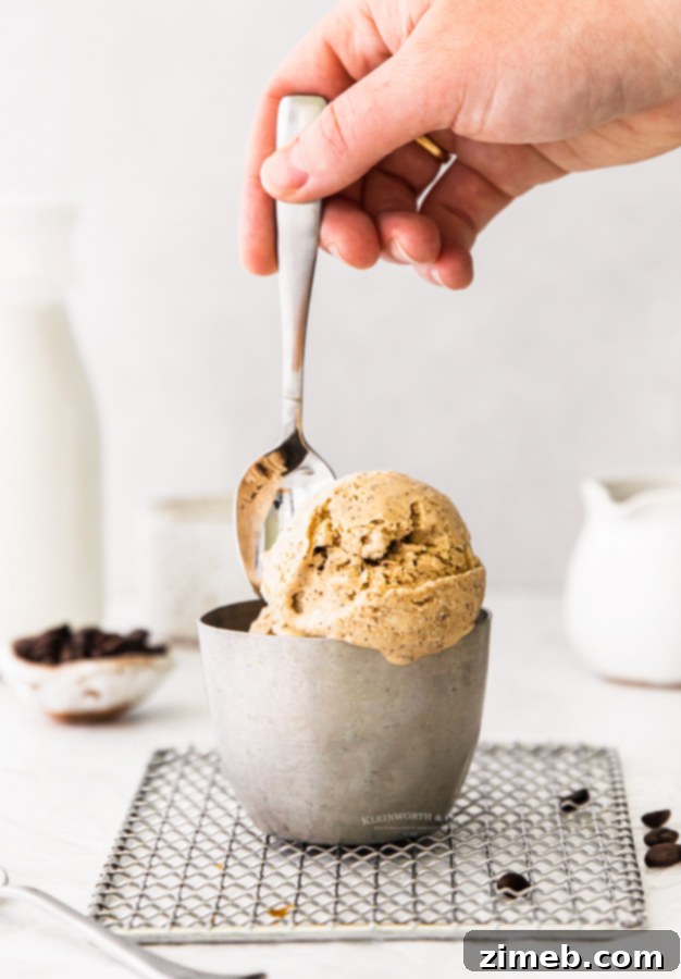 Effortless Coffee Ice Cream Bliss 18 recipe for coffee ice cream