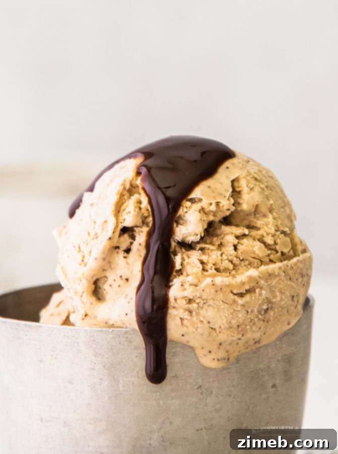 Effortless Coffee Ice Cream Bliss 19 chocolate sauce on coffee ice cream