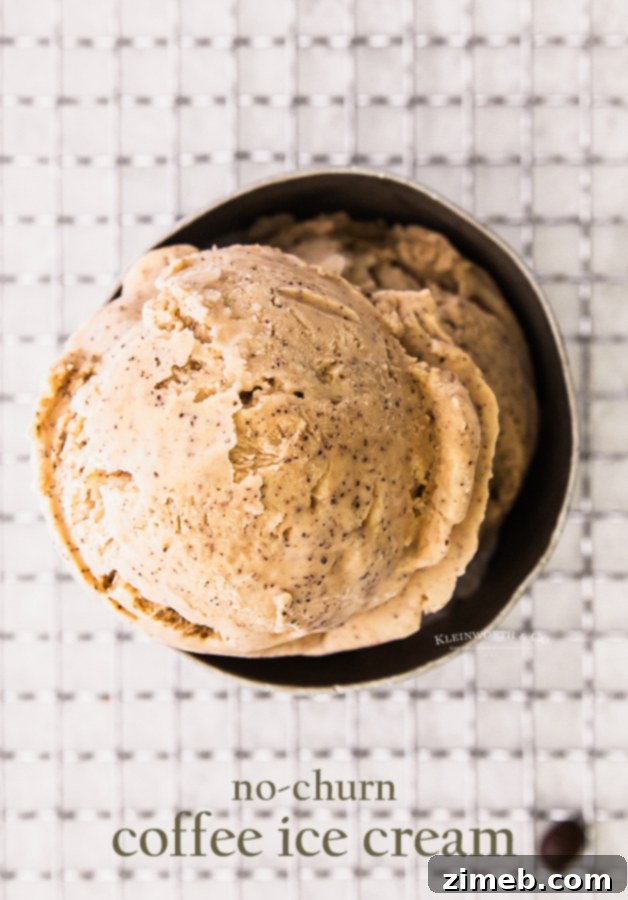 Effortless Coffee Ice Cream Bliss 20 No-Churn Coffee Ice Cream Recipe