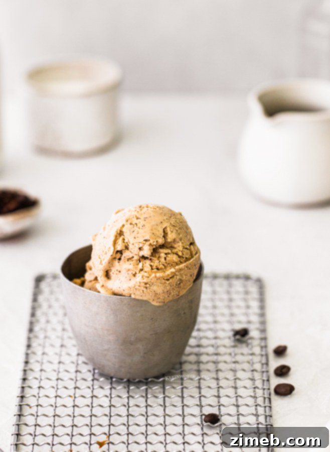 Effortless Coffee Ice Cream Bliss 3 5 ingredient coffee ice cream