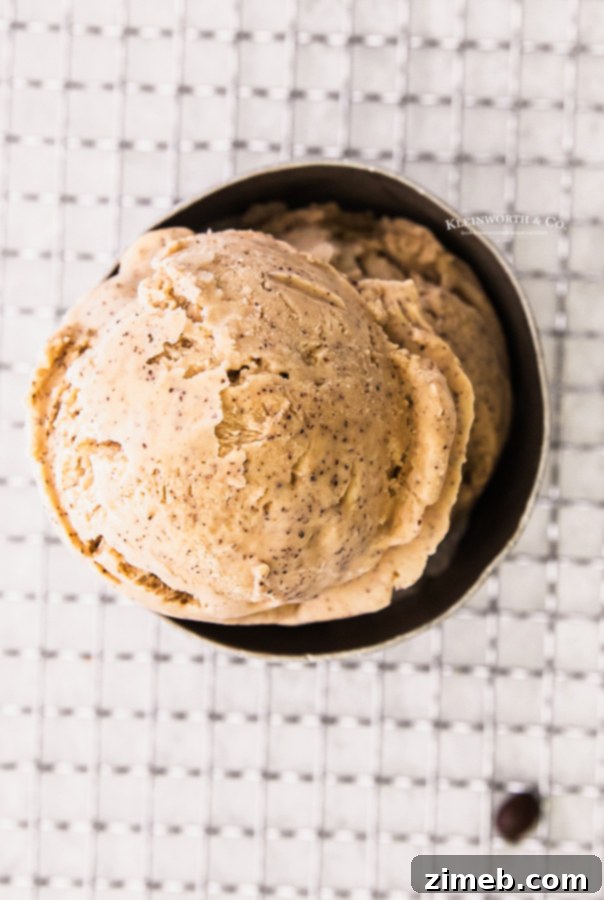 Effortless Coffee Ice Cream Bliss 5 best homemade coffee ice cream