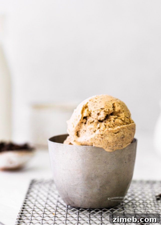 Effortless Coffee Ice Cream Bliss 6 bowl of coffee ice cream