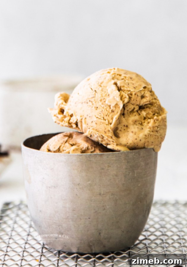 Effortless Coffee Ice Cream Bliss 9 scoops of coffee ice cream