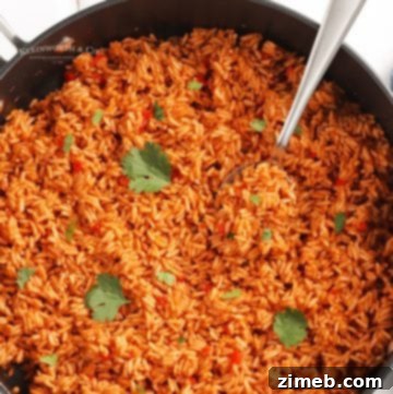 SKILLET Spanish Rice - a vibrant and flavorful side dish, cooked in a skillet.