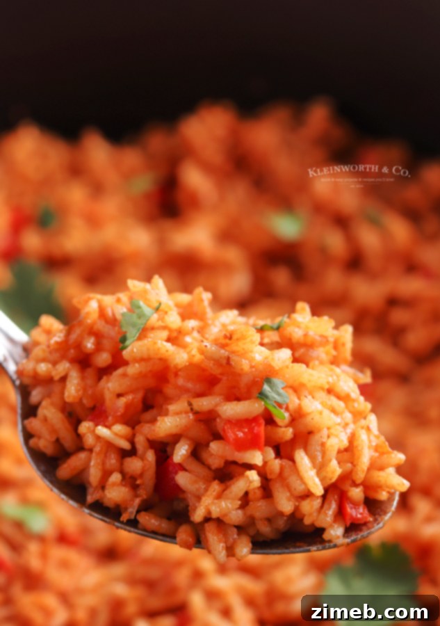 Flavorful Fiesta Rice 9 A delicious bowl of Mexican-style rice, perfect as a vibrant side dish.